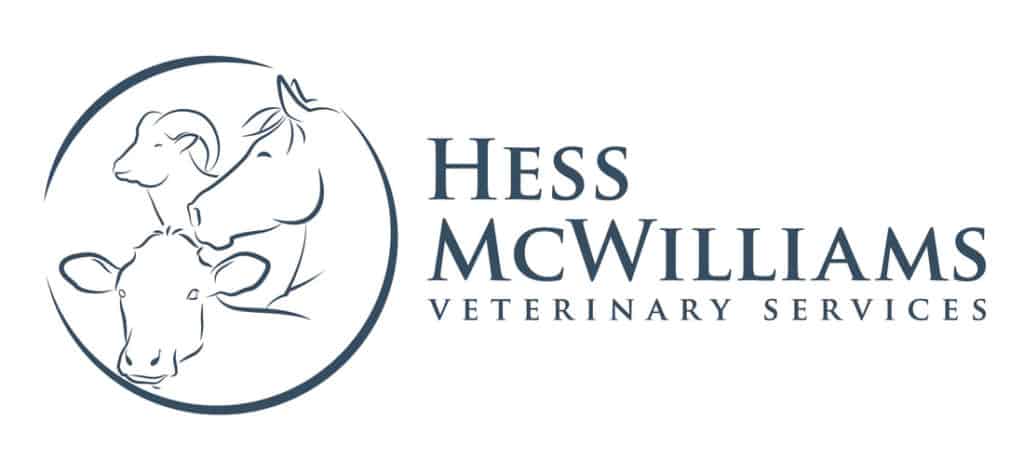 Hess Mcwilliams logo