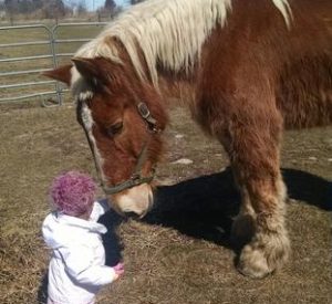 Rescued Draft Horse Sunny